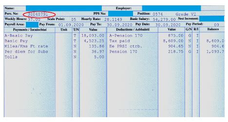 e payslip pcg|FREQUENTLY ASKED QUESTIONS .